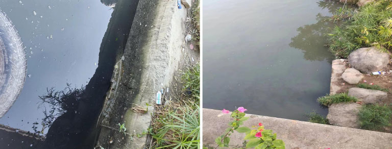 福州排口流域2.jpg