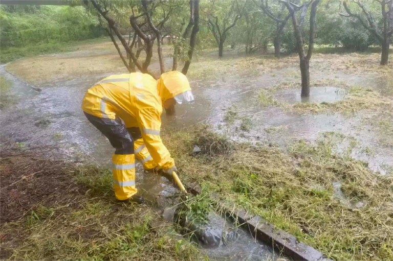 北排5.jpg