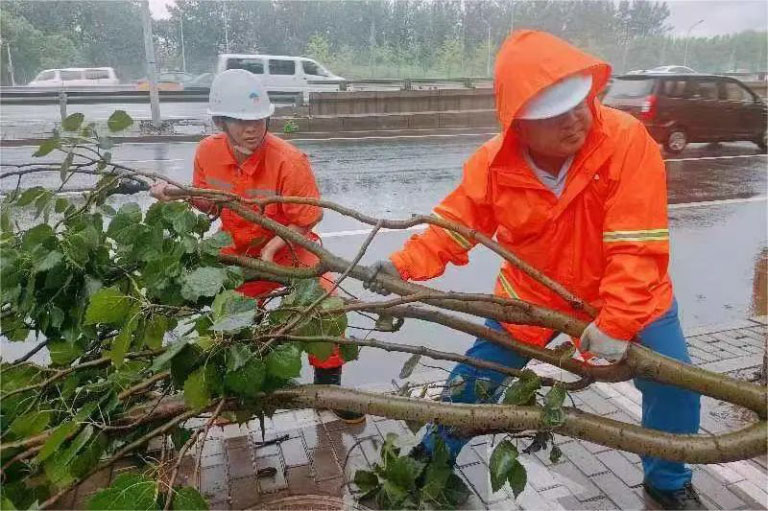 北排16.jpg