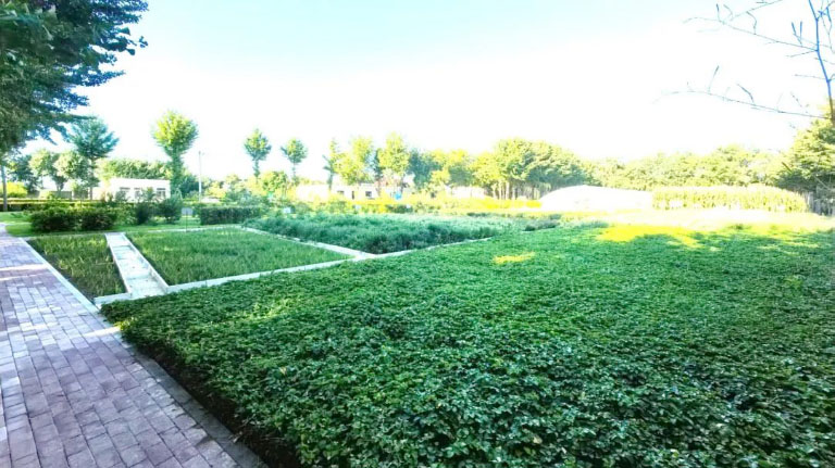 北排3.jpg