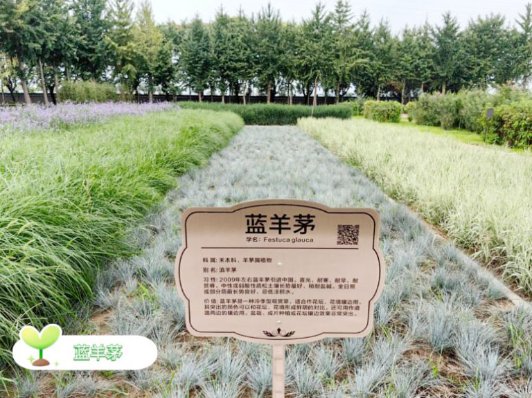 北排5.jpg