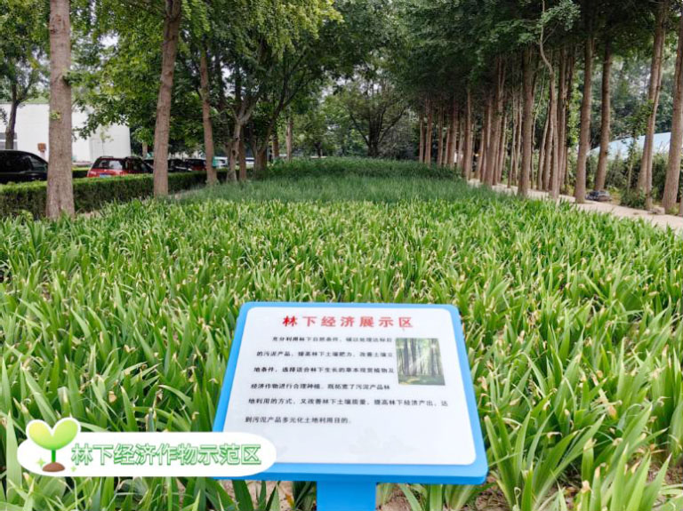 北排7.jpg