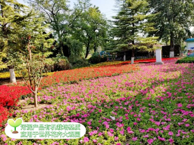 北排10.jpg