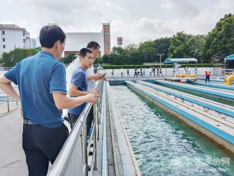 广东水协7.jpg
