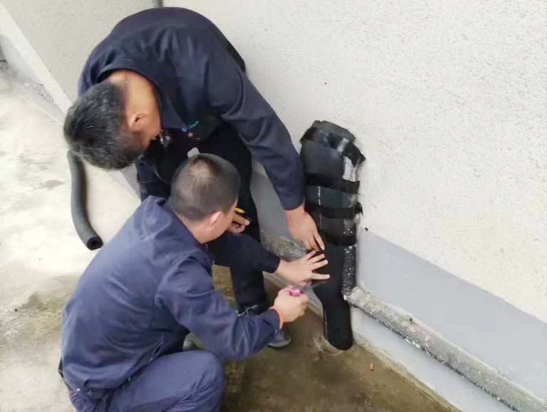 上海奉贤8.jpg