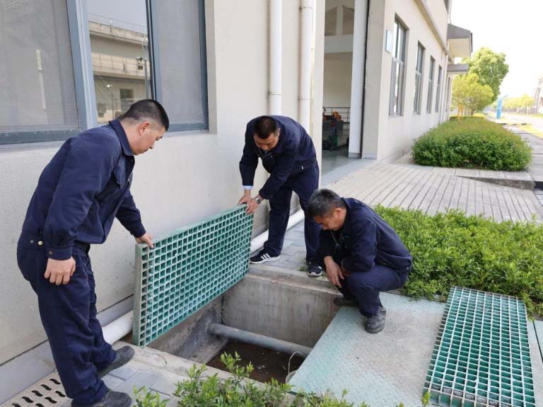 上海奉贤12.jpg