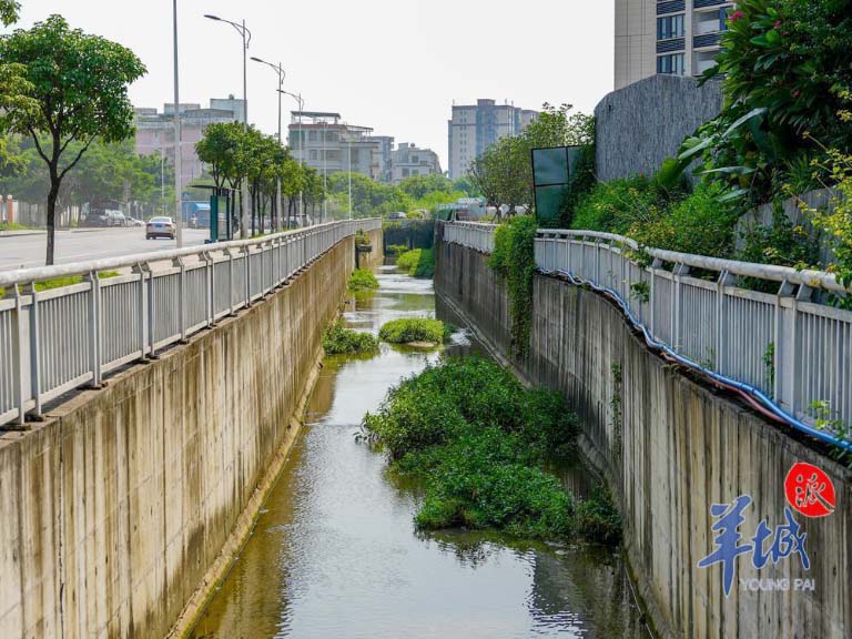 广东5.jpg