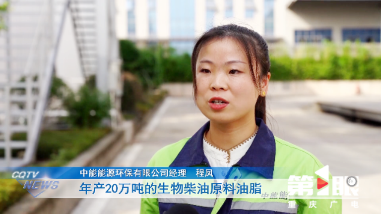 重庆3个项目5.png