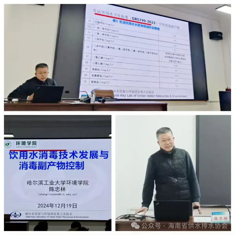 海南8.jpg