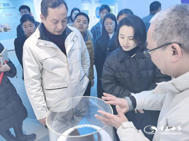 江津区委4.jpg