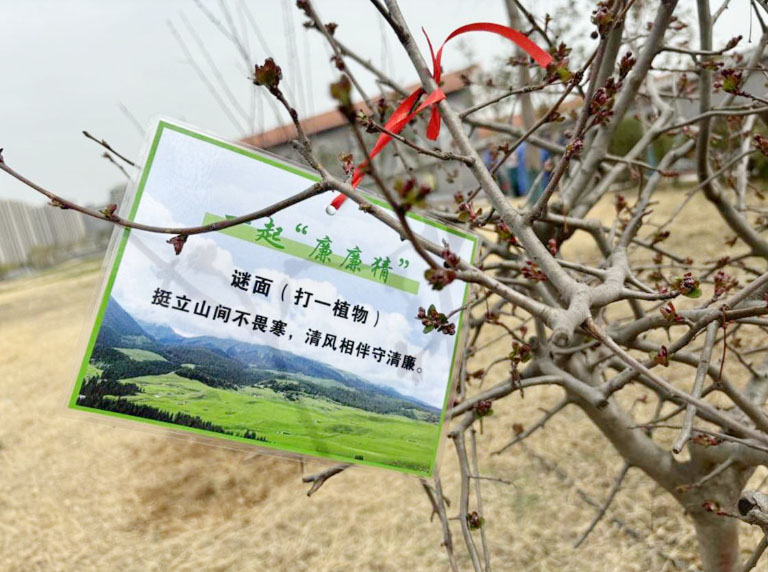 郑州西区3.jpg