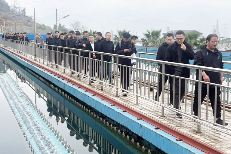 浙江12.jpg