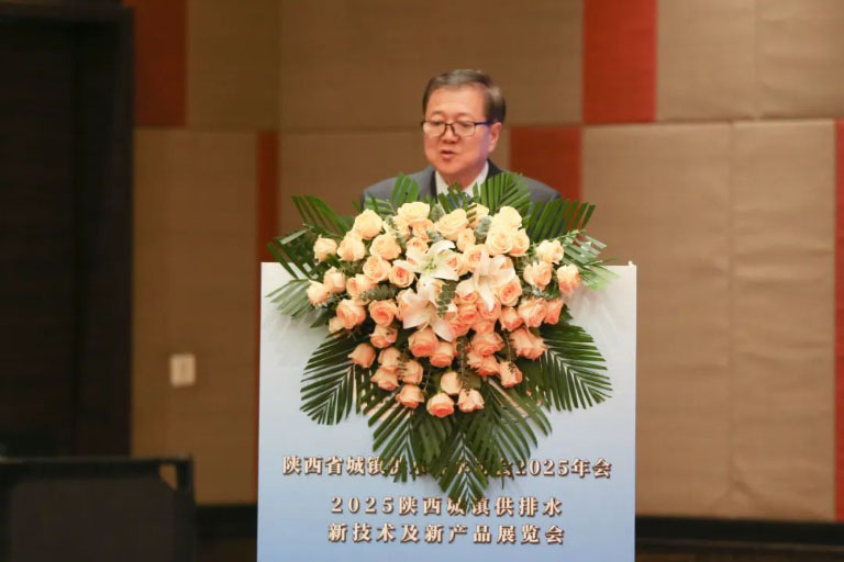 陕西4.jpg