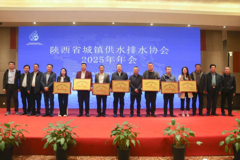 陕西10.jpg