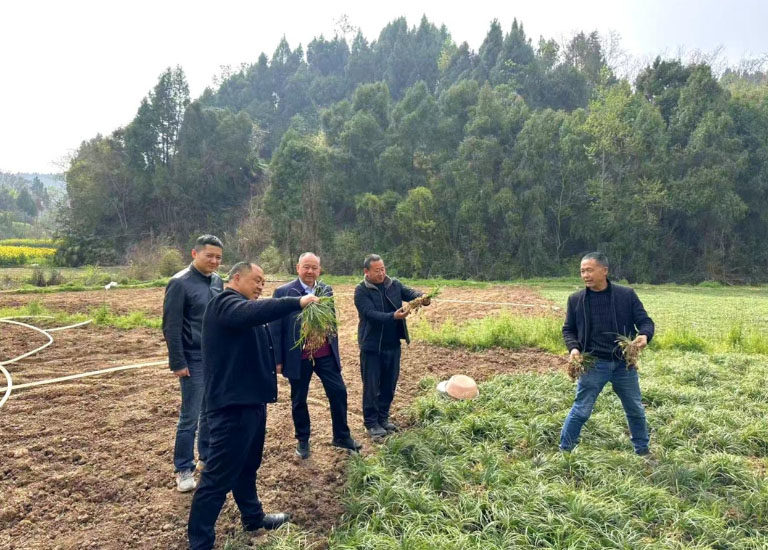 绵阳2.jpg