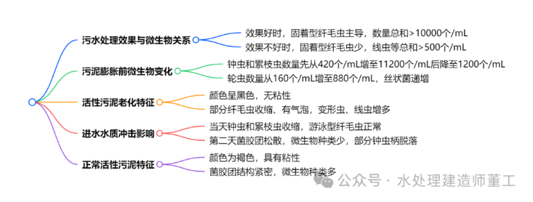 污水处理厂曝气池1.png