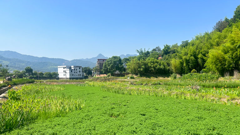 连城1.jpg