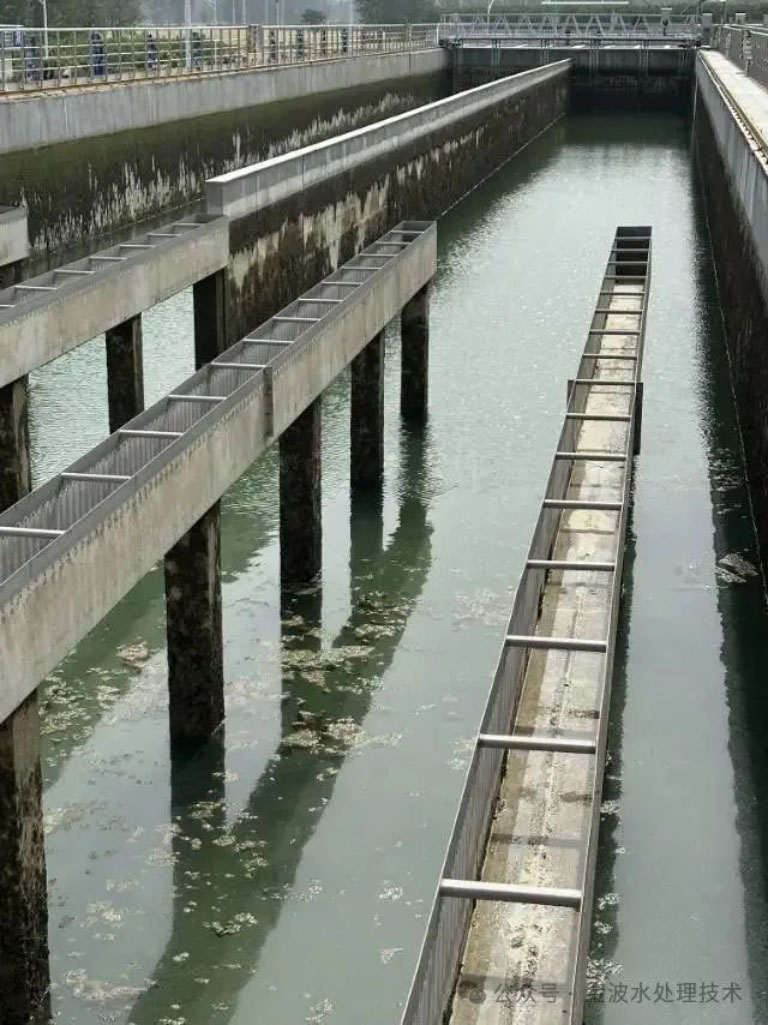 浅谈沉淀池悬浮物1.jpg