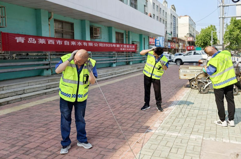 莱西2.jpg
