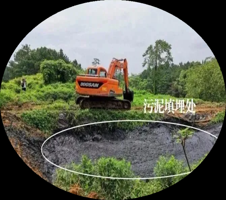 黑龙江4.png
