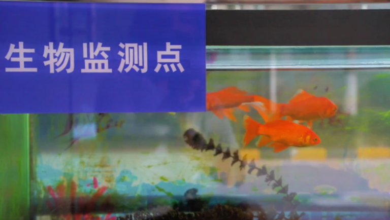 起制水工人5.png