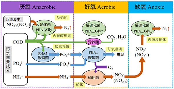 1783492796496199.png 深圳3.png