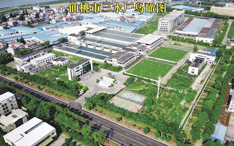 3614-1-仙桃2.jpg