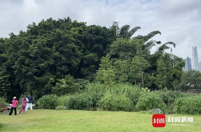 公园底下藏着2.jpg