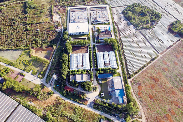 1785813004117704.jpg 3615-1-绿城2.jpg