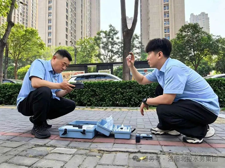 1785893560126431.jpg 洛阳5.jpg