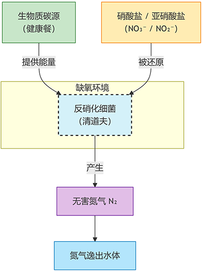 双碳目标下2.png
